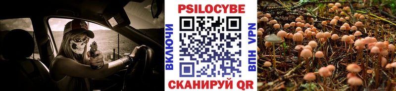 дарк нет Telegram  Южа  Галлюциногенные грибы MAGIC MUSHROOMS  kraken ссылки 